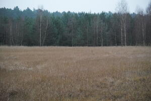 Poland, Wielkopolskie