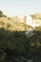 Alicante, cityscape, dusk, elevated, Spain, tree, Valenciana, vegetation