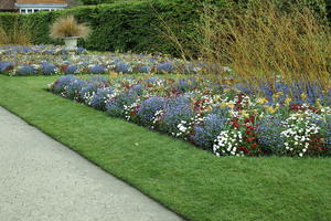 day, England, eye level view, flower, garden, grass, natural light, park, The United Kingdom, Woking