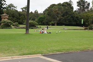 Australia, bush, couple, day, eye level view, grass, natural light, New South Wales, park, path, sitting, summer, summer, Sydney, vegetation