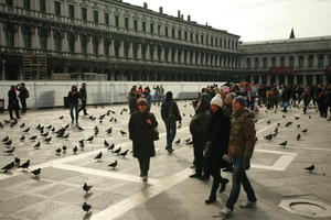 architecture, bird, building, day, eye level view, group, Italia , people, Piazza San Marco, pidgeons, square, Veneto, Venice, winter