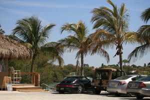 car, day, eye level view, Florida, jeep, Miami, natural light, palm, parking, sunny, The United States, tropical, vegetation, winter