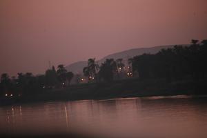 dusk, East Timor, Egypt, Egypt, eye level view, palm, river, river Nile, silhouette, tree, vegetation