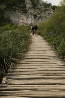 bridge, Croatia, day, decking, diffuse, diffused light, eye level view, Karlovacka, natural light, reed, summer