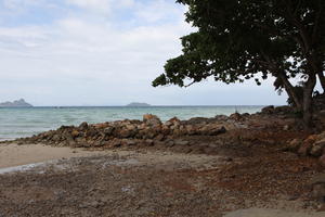 beach, day, eye level view, Ko Phi Phi Don, Krabi, natural light, rockery, Thailand, tree, vegetation