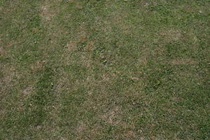 above, day, England, grass, Hastings, summer, sunny, The United Kingdom