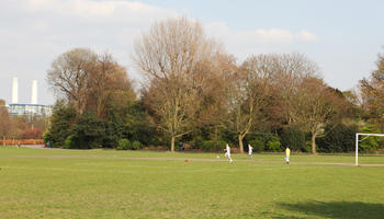 day, deciduous, England, eye level view, grass, London, park, spring, sunny, The United Kingdom, tree