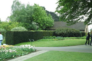 day, England, eye level view, garden, grass, natural light, park, The United Kingdom, Woking