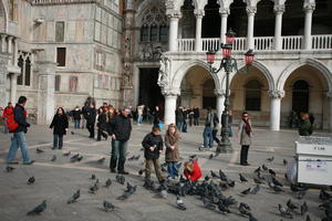 bird, casual, child, day, eye level view, Italia , lamppost, people, pidgeons, square, Veneto, Venice, winter