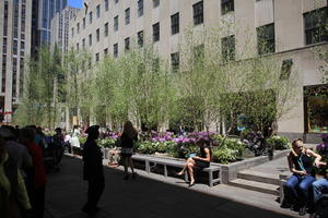 building, day, eye level view, facade, flower, Manhattan, New York, people, sitting, street, sunny, The United States, tree, vegetation, woman