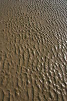 beach, close-up, day, Essaouira, Morocco, sand, sunny