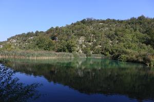 bush, Croatia, day, forest, Karlovacka, lake, tree, vegetation