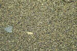 above, Antibes, close-up, day, France, nature, outdoor lighting, pebble, Provence Alpes Cote D