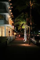 artificial lighting, car, eye level view, Florida, Miami, night, palm, street, The United States, tropical, vegetation, winter
