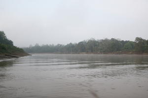 Brunei, day, diffuse, diffused light, eye level view, natural light, river, summer, treeline, tropical