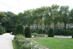 Belgium, Brussels, day, eye level view, flower, grass, hedge, natural light, park, path, summer, tree, vegetation