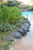 Bali, day, eye level view, garden, grass, Indonesia, plant, pool, shrub, summer, sunny, tropical