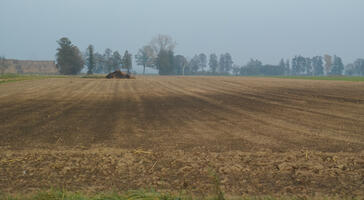 Poland, Wielkopolskie