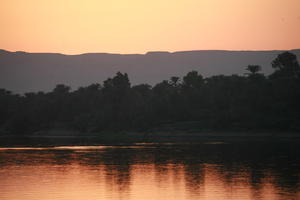 dusk, East Timor, Egypt, Egypt, eye level view, palm, river, river Nile, silhouette, tree, vegetation