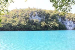 Croatia, day, eye level view, forest, Karlovacka, lake, sunny, tree, vegetation