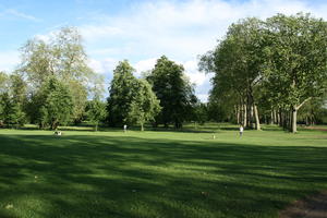 broad-leaf tree, broad-leaved tree, day, England, eye level view, grass, London, park, summer, sunny, The United Kingdom