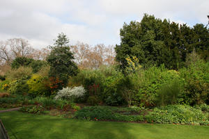 bush, day, direct sunlight, England, eye level view, grass, greenery, London, park, spring, sunny, The United Kingdom, tree