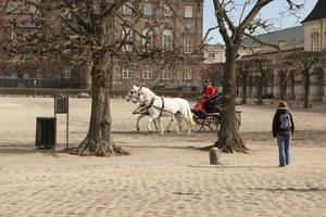 carriage, Copenhagen , day, Denmark, eye level view, horse, Kobenhavn, square, sunny, winter
