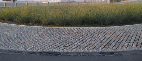 bush, Croatia, eye level view, garden, lavander, pavement, spring, sunset, Zadar, Zadarska