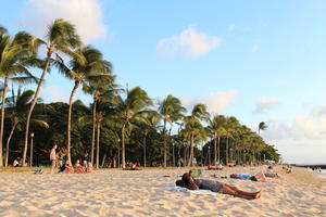 beach, coconut palm, day, eye level view, group, Hawaii, palm, people, sitting, summer, sunbathing, sunny, The United States