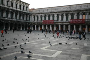 bird, building, casual, day, dusk, eye level view, group, Italia , people, Piazza San Marco, pidgeons, square, Veneto, Venice, winter