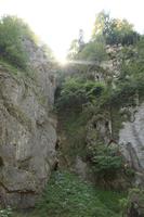 Croatia, day, eye level view, Karlovacka, mountain, sunny, tree, vegetation