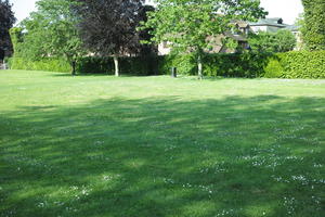 day, England, eye level view, grass, lawn, park, Romsey, sunny, The United Kingdom
