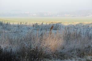 Poland, Wielkopolskie
