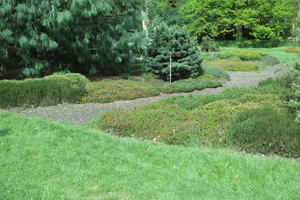 day, England, eye level view, garden, grass, natural light, park, plant, The United Kingdom, Woking
