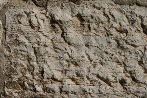 Croatia, day, eye level view, Istarska, natural light, Pula, rock, texture