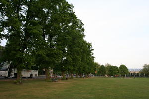 afternoon, Cambridge, day, England, eye level view, grass, lawn, park, spring, The United Kingdom, tree, vegetation