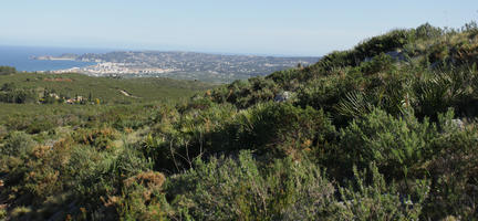 bright, bush, day, Denia, elevated, shrub, shrubland, Spain, spring, sunny, Valenciana