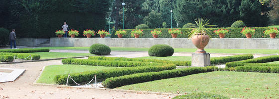 bush, day, eye level view, garden, hedge, Hlavni Mesto Praha, park, potted plant, Prague, shrub, summer, sunny, The Czech Republic, vegetation