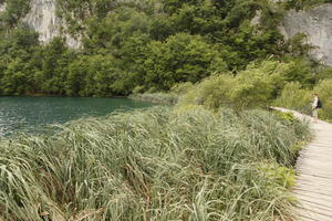 Croatia, day, diffuse, diffused light, eye level view, Karlovacka, lake, natural light, reed, summer