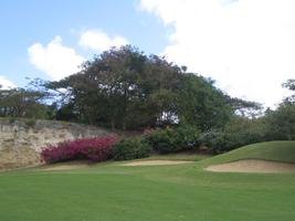 Barbados, day, eye level view, flower, garden, golf course, grass, plant, tree, vegetation