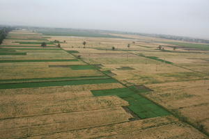 aerial view, day, diffuse, diffused light, Egypt, field, natural light, summer