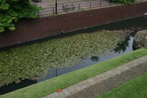 above, architecture, bench, day, England, grass, London, object, path, pond, railing, The United Kingdom, vegetation, wall, water lily