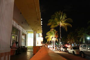 artificial lighting, building, car, ceiling, eye level view, Florida, hotel, Miami, night, palm, street, The United States, transport, vegetation