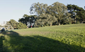 afternoon, California, day, eye level view, grass, hill, San Francisco, summer, sunny, The United States, treeline