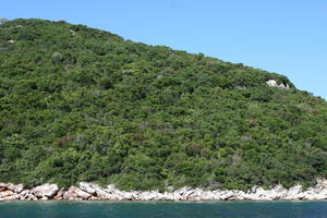 Croatia, Croatia, day, eye level view, hill, seascape, sunny, tree, vegetation