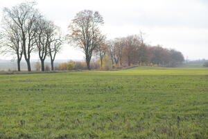Poland, Wielkopolskie