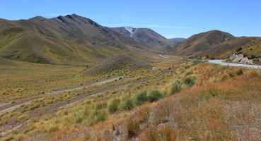 day, eye level view, grassland, mountain, New Zealand, summer, sunny
