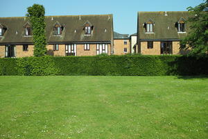 day, England, eye level view, grass, hedge, house, lawn, park, Romsey, sunny, The United Kingdom