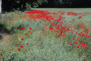 Poland