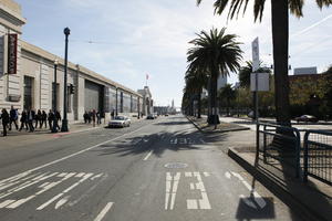 California, day, evergreen, eye level view, palm, Phoenix canariensis, San Francisco, street, summer, sunny, The United States, urban